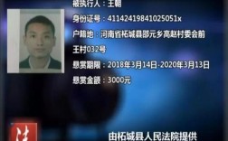4114211是哪个省份身份证号？柘城县的区号是多少