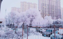 哈尔滨冬天几点天就亮了？哈市现在多少度