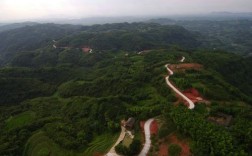 四川泸州市纳溪区丰乐镇生产的泸洲酒是真的吗？纳溪区丰乐镇离泸州多少公里