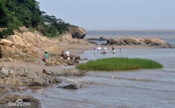 浙江平阳风景区？西湾风景区一般人多少点钟去