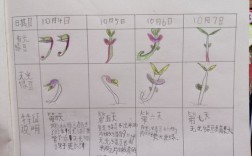 20筒空气的质量是几个回形针？20筒空气质量大约是多少粒绿豆