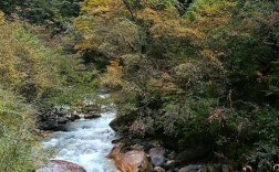 四川夏天避暑最佳旅游地？东拉山大峡谷七八月气温多少