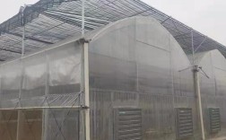 室外零下5度大棚多少度？河北石家庄的地温有多少