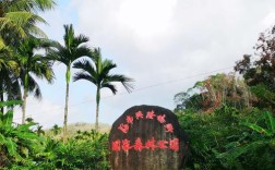 海南兴隆气候优缺点？兴隆多少度