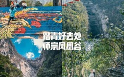 凤凰谷里门票？五龙到师宗客车多少小时