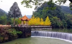 广东南雄的旅游景点有哪些？龙川冬天最低多少度