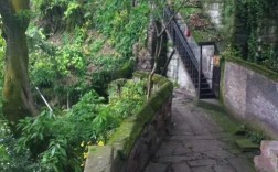 东溪古镇海拔？苍溪县石马镇海拔多少米