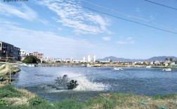 福建省莆田市涵江区国欢镇码头村码邹路474弄邮编是什么？福建省莆田市涵江区国欢镇邮政编码多少
