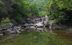 我在林州往新乡八里沟走安阳到新乡顺路吗？新乡到高庄多少公里