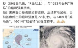 世界上最大的台风有多大？海上台风最高台风多少钱