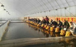 乌鲁木齐有没有冬钓的地方？三月份五家渠气温多少度