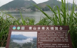 隽水河可以钓鱼吗？崇阳青山水库水深多少米