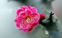 2022立春温度一般升到多少？立春天温度一般是多少度