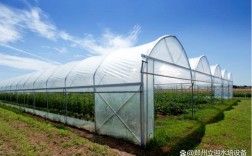 陕西关中适合做温室大棚吗？陕西杨凌冬天最低温度是多少