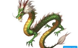 青龙的养殖条件？青龙的温度是多少