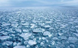 海水会结冰吗？海水达到多少度才能结冰