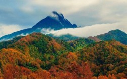 五指山一年中各个月份的气温？五指山明天多少温度