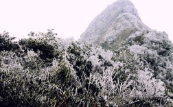 贵港平天山景区门票是多少？贵港平天山多少度有雪