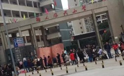 哪些小区可以读重庆树人小学？小新街乡有多少小学