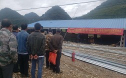 隆林隆式种姜方法？隆林到隆或乡多少公里