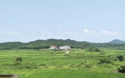 茶陵的气候特点属于什么类型？茶陵年平气温多少
