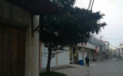 天长市有多少乡镇多少村？天长到新街多少时间