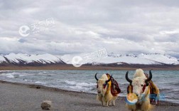 西藏旅游最佳时间气温？西藏山南温度多少