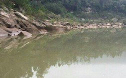 巴中野河垂钓怎么选择最佳钓点？巴中明天的温度是多少