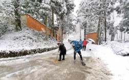龙泉驿山上下雪了吗？2017龙泉驿优良天气多少天