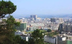 广西梧州藤县一年四季的主导风是什么？藤县最低温度是多少