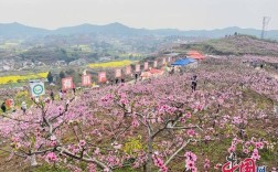 任隆桃花节介绍？蓬溪到任隆镇多少公里