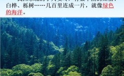 小兴安岭是怎样形成的？小兴安岭温度是多少