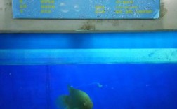 沈阳动物园有热水吗？水族馆室温度多少