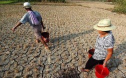 福建干旱到什么时候？福建多少年没干旱过了