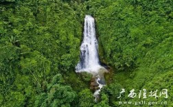 金钟山海拔多少？广西隆林第一海拔有多少米