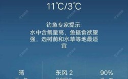 十几度的天气钓鲫鱼钓多深？日照今天气压多少合适