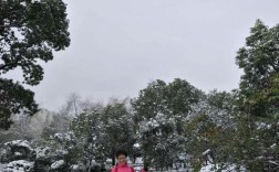湖州有中到大雪吗？湖州冬天最低是多少度