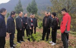 四川省广元市旺苍县尚武镇尚武镇街道邮编是什么？尚武到旺苍多少公里