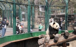 北京动物园3月份值得去吗？北京三月份温度一般是多少度