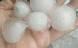 130635是哪的身份证？蠡县大风有的多少级