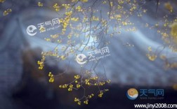 北京今年立春后还会冷多久？北京立春天气多少度