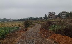 烟洲到常宁最早几点？烟洲到常宁多少公里