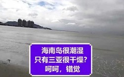 冬季三亚湿度大还是东方湿度大？东方的湿度多少