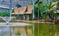 大厂热带植物园门票？大厂历史最低温度多少度