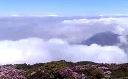 攀枝花到会理外北龙肘山有多少公里？会理县龙肘山海拔多少米