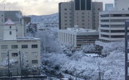 哪个城市下雪最多？日本富山气候冬天多少度