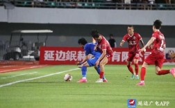 延边龙鼎中甲门票网上怎么买？中甲卖多少票