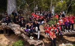 藤条江的发源地？金平猛拉邮政编码是多少