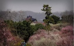 前湖公园要门票吗？明孝陵梅花山门票多少钱