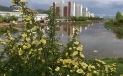 海东地区在那里a？海东市互助县区号是多少